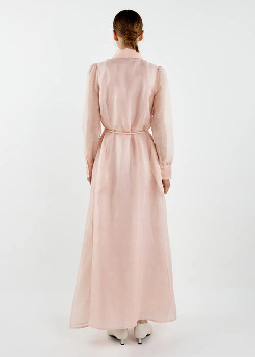 Person wearing a long pink dress on a white background