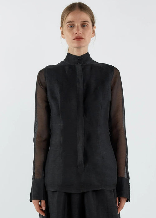 Person wearing a black blouse with sheer sleeves on a white background